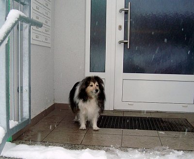 Tak už mě pusťte domů, je zima!