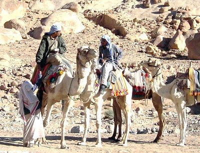 Velbloudáři před klášterem svaté Kateřiny