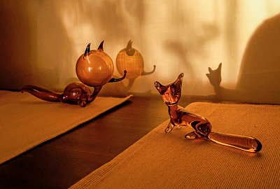 Zdraví vás lišky od Elišky :-)