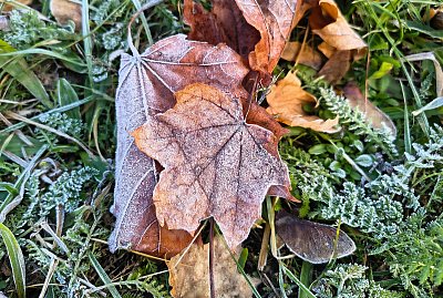 Potkala jsem MRAZÍK *