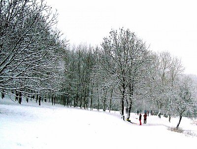 Louka pod Mostnou  horou *