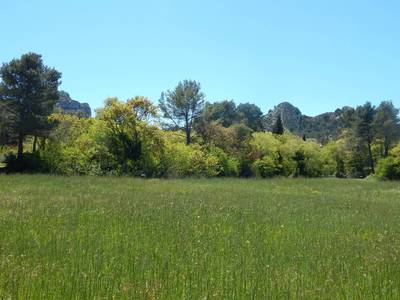 Louka za klášterem