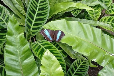 Jsem tu na výstavě ....