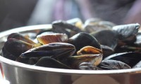 Jak připravit a jíst mušle?
Zkuste i vy tuto delikatesu!