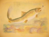 Na lovu - autorský pastel