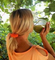 Je to osvěžující nápoj a nahradí jídlo