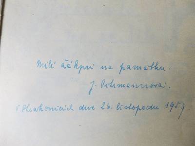 Oblíbená učitelka českého jazyka