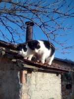 Radikální změna života