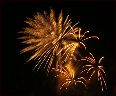 Novoroční oranžové květy