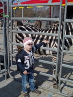 S Honzíkem za zvířátky