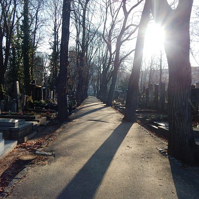 Olšanské hřbitovy