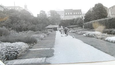 Parky, po pudlíkovi se mi stýskalo..