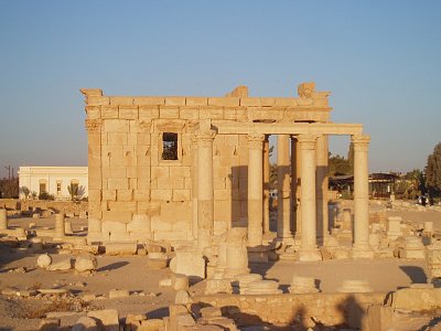 Palmyra