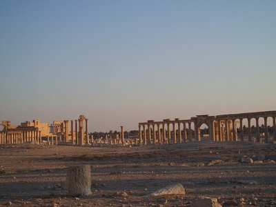 Palmyra