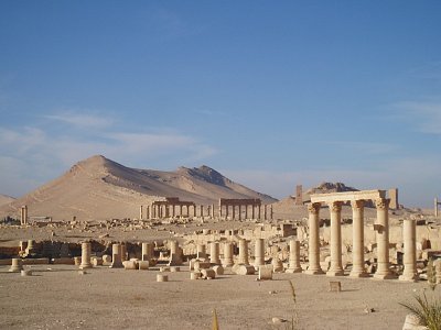 Palmyra