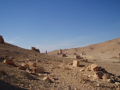 Palmyra