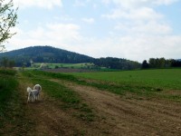 Cestou necestou s doprovodem