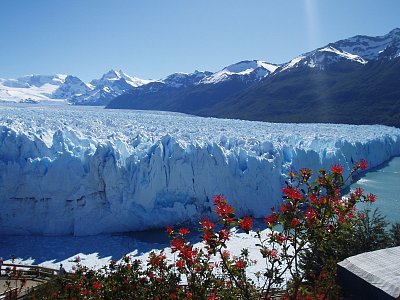 Ledovec Perito Moreno