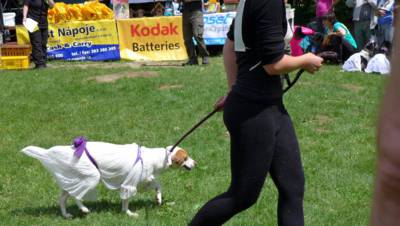 Tato fenka měla dokonce podprsenku