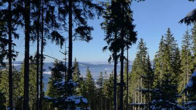 Už nabírám výšku