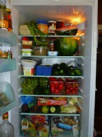 A takhle by měla vypadat každá lednička