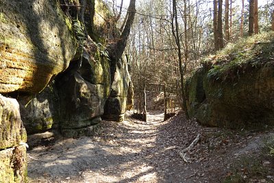 Pohled zpět k lesní bráně