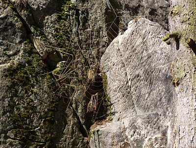 Kdo hledá, najde ☺