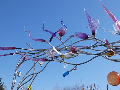 Z Křišťálové zahrady