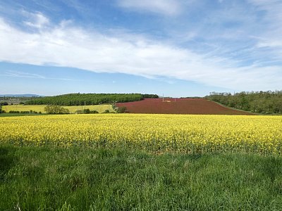 Žluto, zeleno a červeno