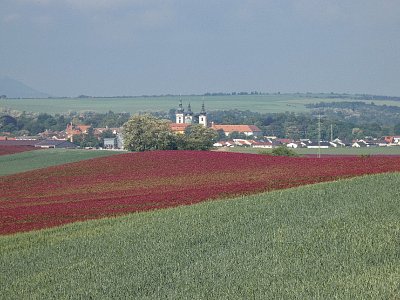 Po koberci do Doksan