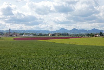 Na obzoru České středohoří