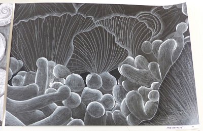 obrázek mé vnučky Aničky