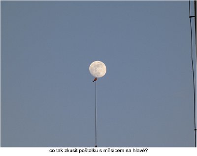 p1420668-postolka-a-mesic-na-hlave.jpg