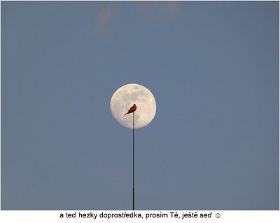 p1420672-prvni-postolka-na-mesici.jpg