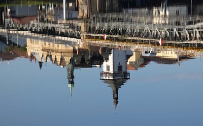 p1500006-hlaska-rozechvela.jpg