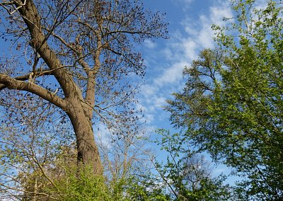 p1500034-krasny-den-bez-zrcadla.jpg
