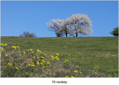 p1500800-tri-nevesty-.jpg