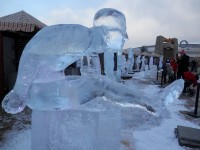 Mistrovství se koná v hale Aréna O2 hned vedle