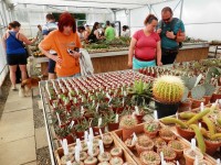 Sestra mezi zájemci o kaktusy