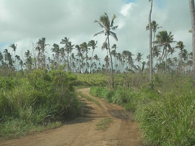 Vnitrozemí Tongatapu
