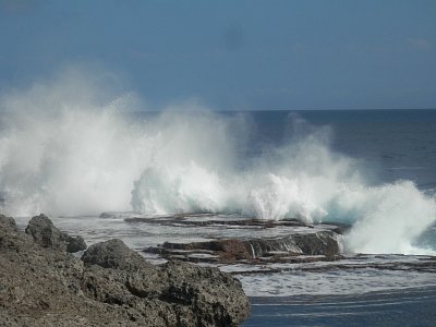 Blowholes