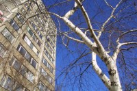 Součástí pozemku budou
i stavby, které na něm stojí