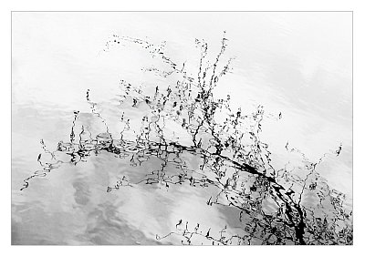 Vodní perokresba ...