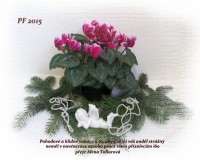 vánoční a novoroční přání 