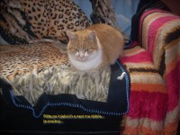 Jsem po injekci, není mi dobře