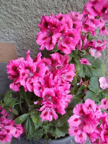 Pod střechou na schodech