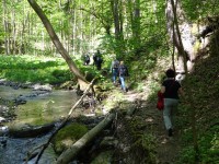 Kaňonem Bobřího potoka