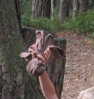 ... loupežnický poklááád ....