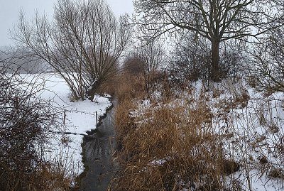 Patnáctý leden u potoka Čepel