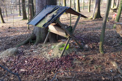 Pozvání na snídani